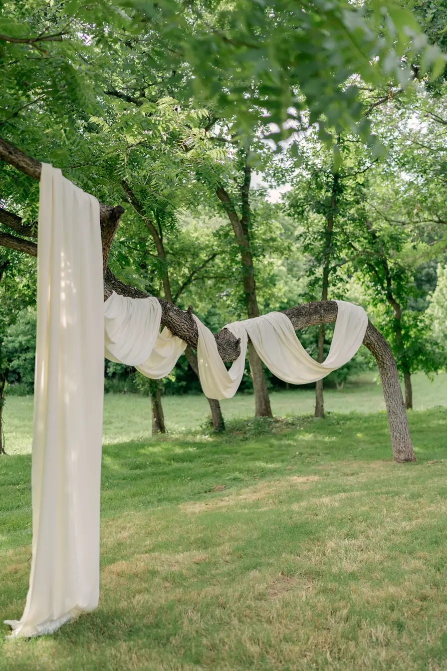 A floor-length ivory panel and swags hung from an old tree branch, before guests arrive